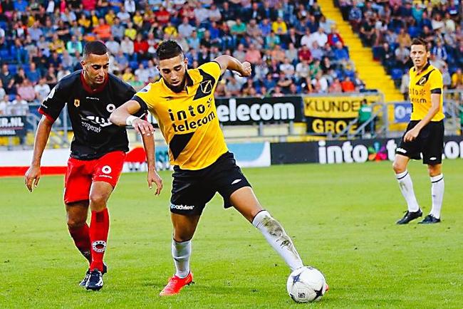 很多蘑菇生 很多蘑菇生