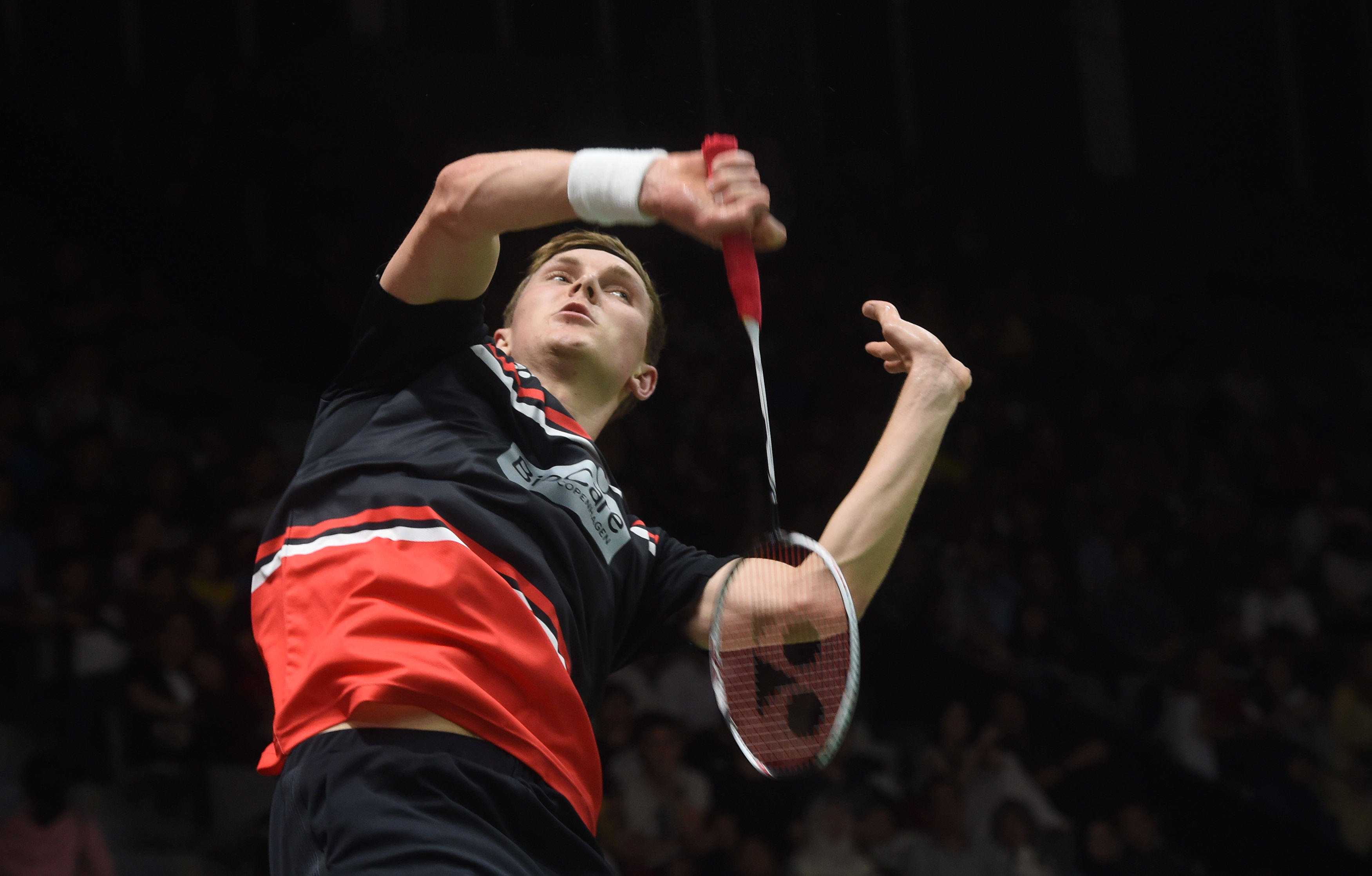 专家指出 专家指出