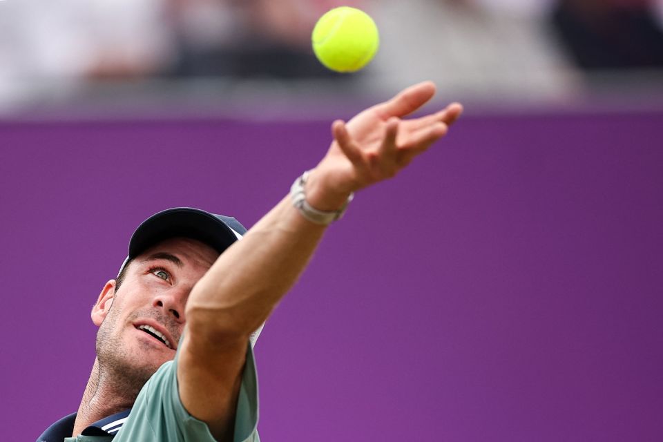 同样令人称 同样令人称