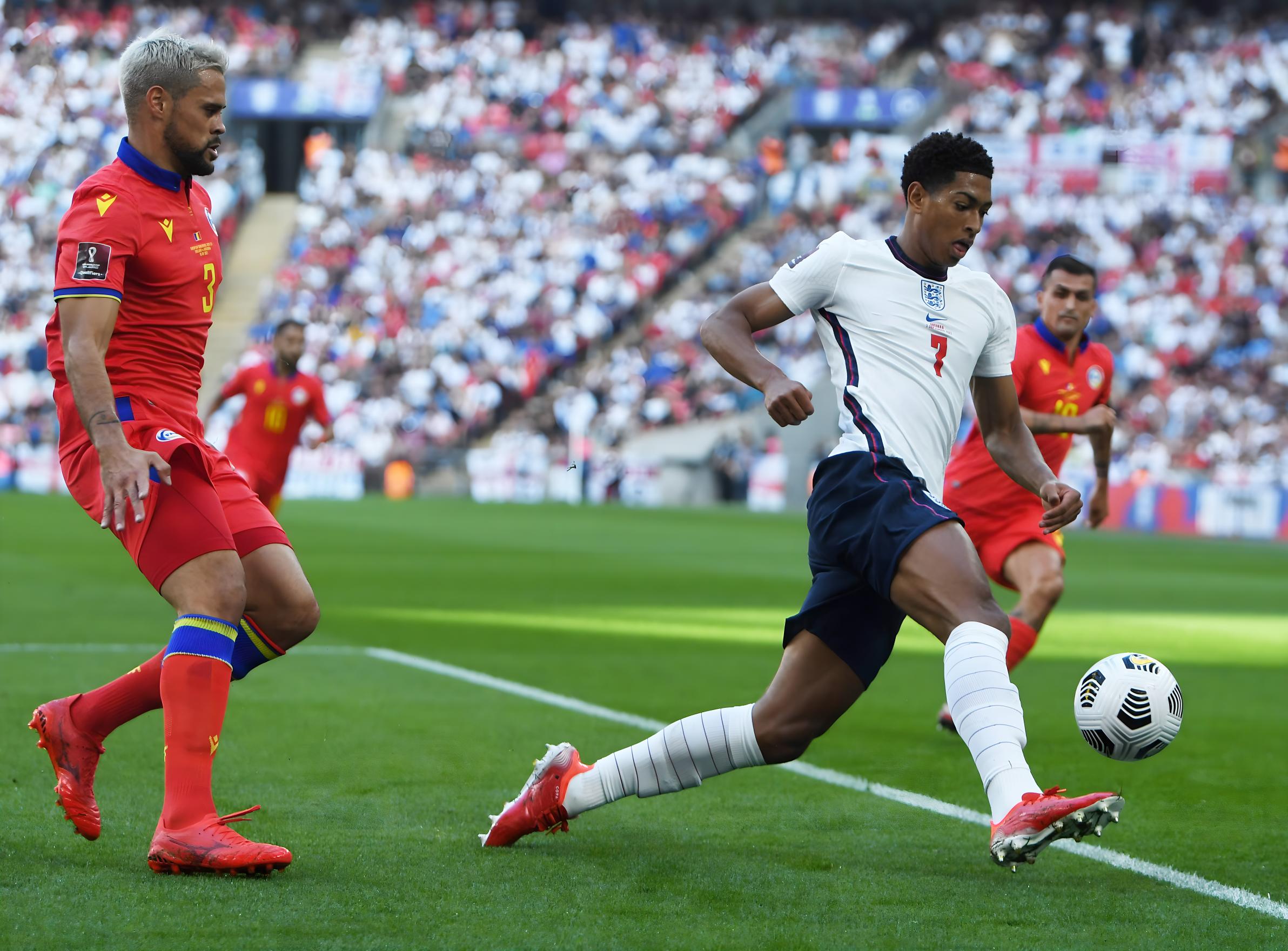 玛西亚杯半 玛西亚杯半